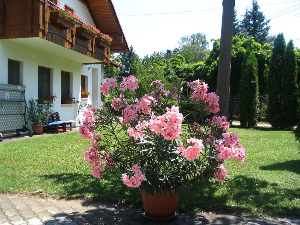 Sommer Panzio Balatonföldvár Eksteriør bilde